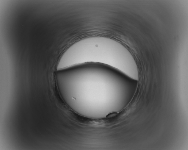 X0000099490317200805150933
