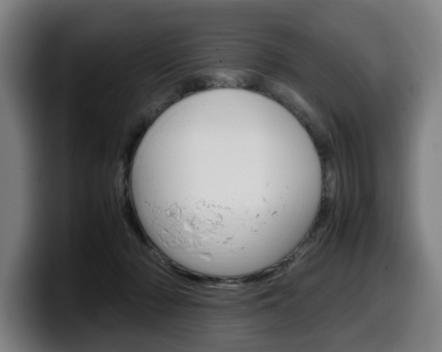 X0000099490318200805150933