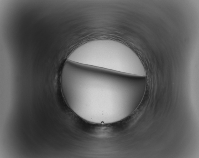 X0000099490319200805150933