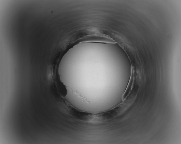 X0000099490320200805150933