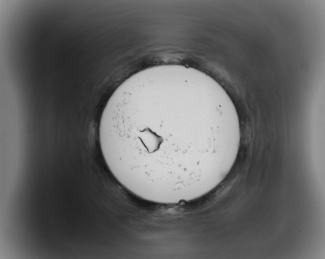 X0000099490321200805150933