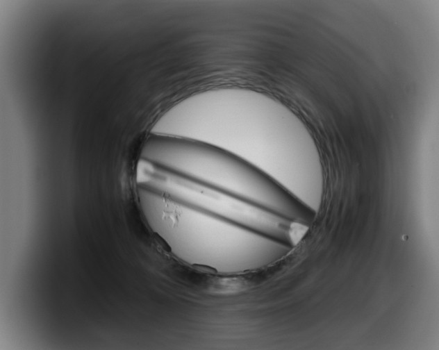 X0000099490324200805150933
