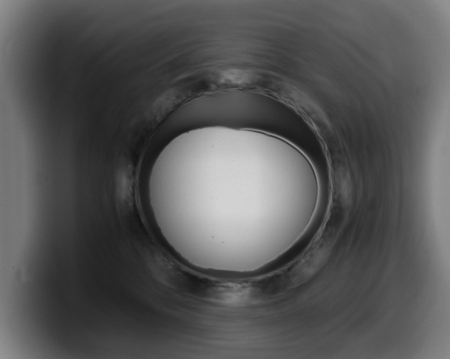 X0000099490328200805150933