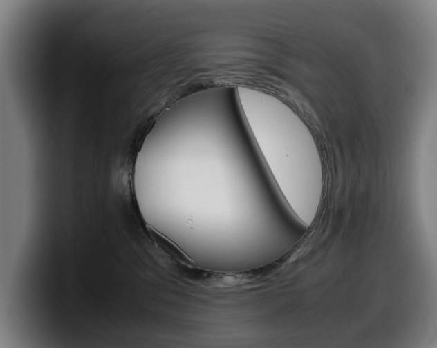 X0000099490329200805150933