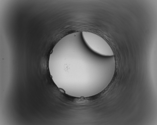 X0000099490331200805150933