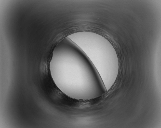 X0000099490333200805150933