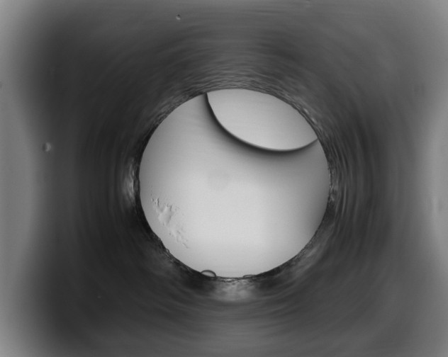 X0000099490334200805150933