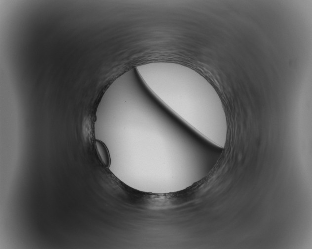 X0000099490335200805150933