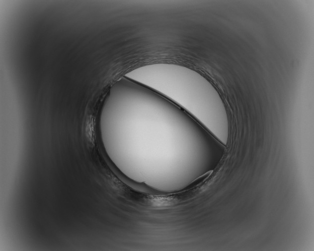 X0000099490336200805150933