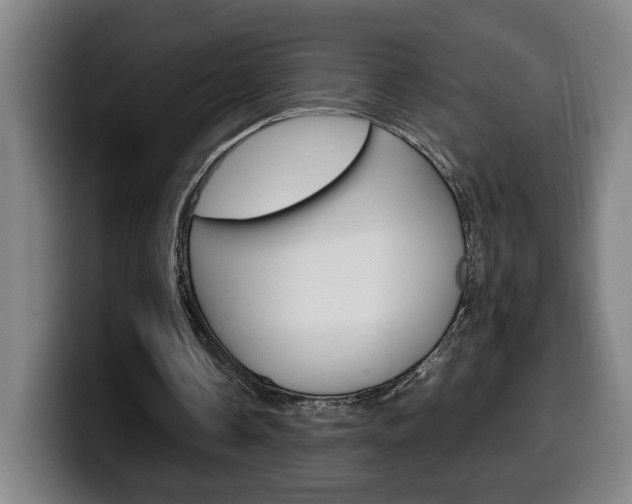 X0000099490338200805150932