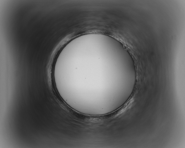 X0000099490341200805150933