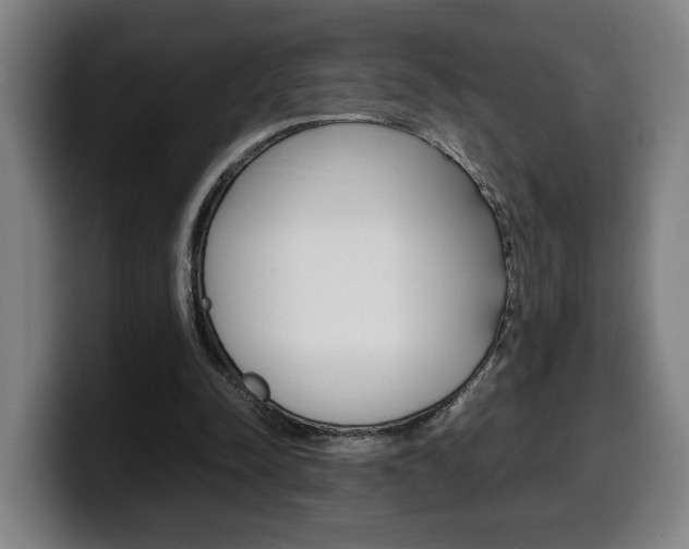 X0000099490342200805150933