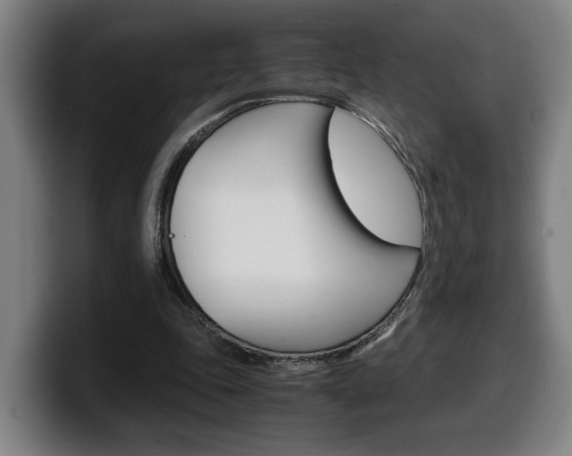 X0000099490343200805150933