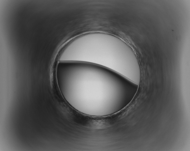 X0000099490344200805150933
