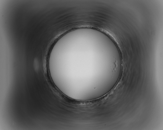 X0000099490345200805150933