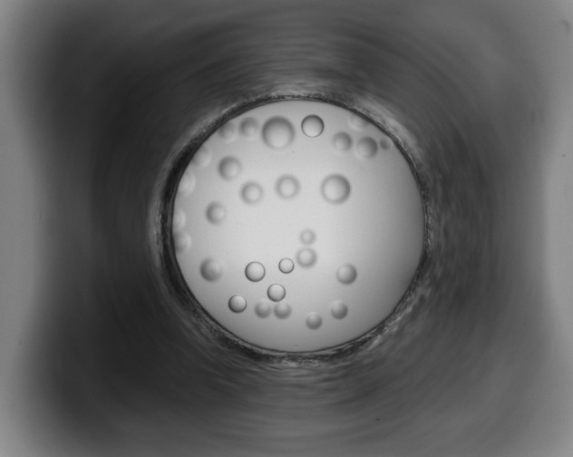 X0000099490346200805150933