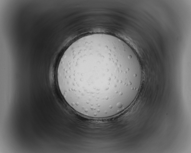 X0000099490347200805150933