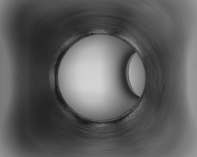 X0000099490349200805150933