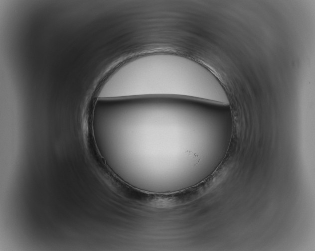 X0000099490350200805150933