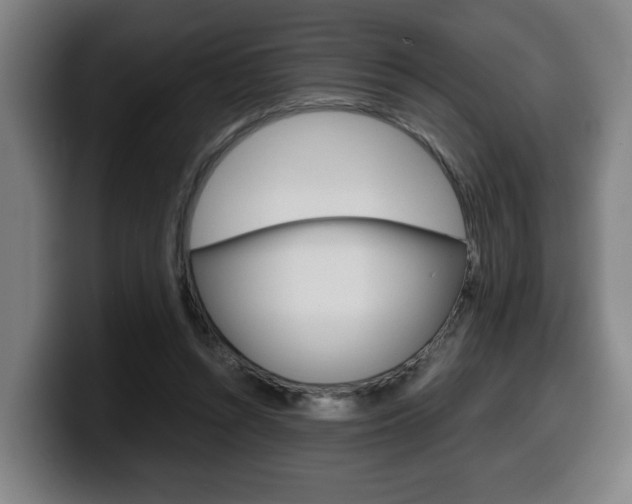 X0000099490352200805150933
