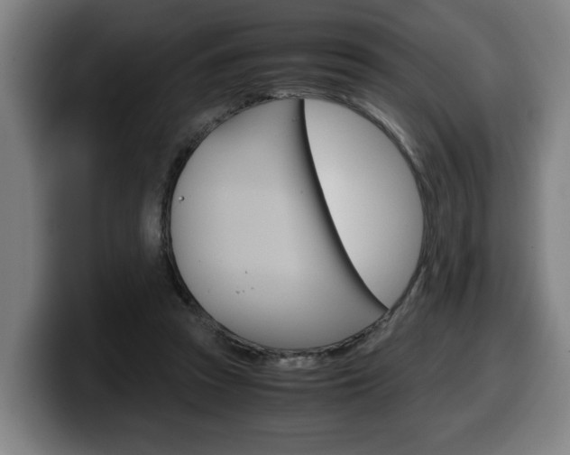 X0000099490353200805150933