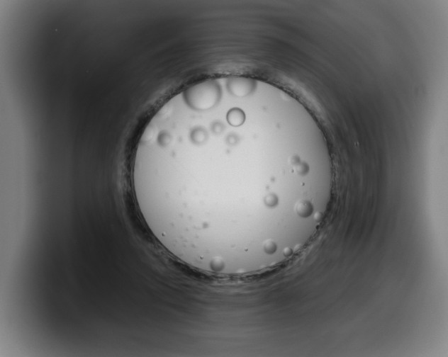 X0000099490354200805150933