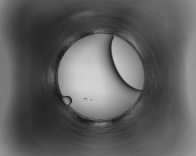 X0000099490357200805150933