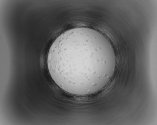 X0000099490359200805150933