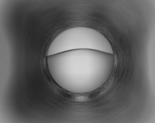 X0000099490360200805150933