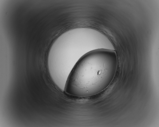 X0000099490362200805150933