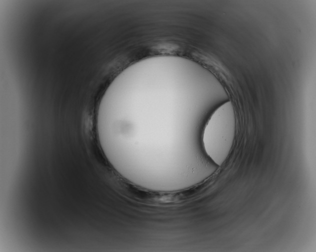 X0000099490365200805150933