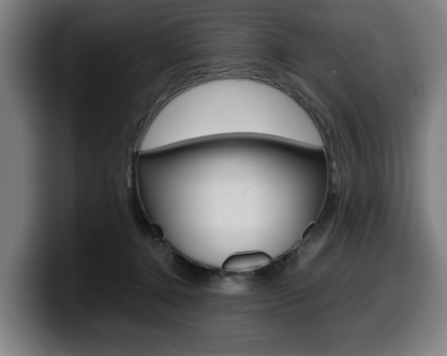 X0000099490368200805150933