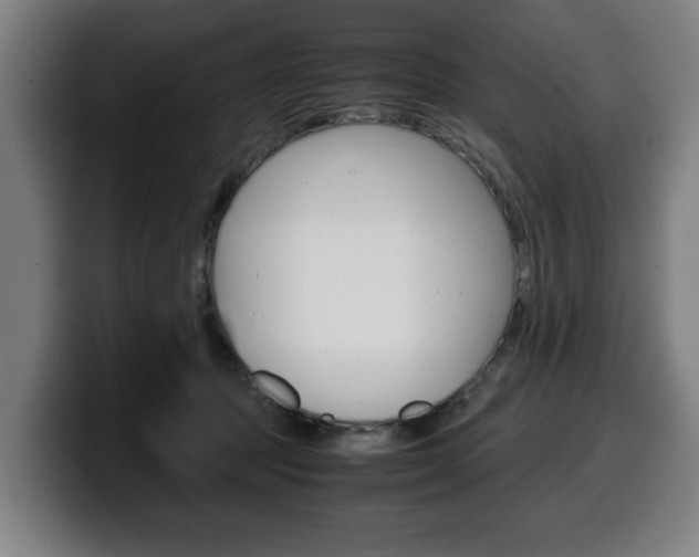 X0000099490369200805150933