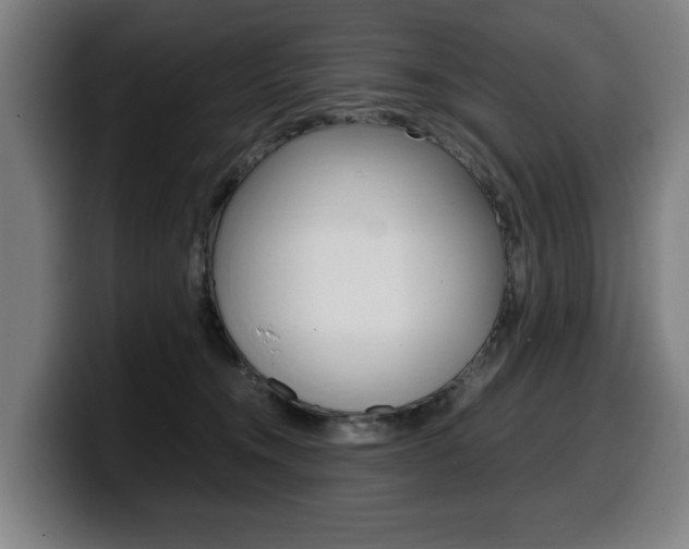 X0000099490372200805150933