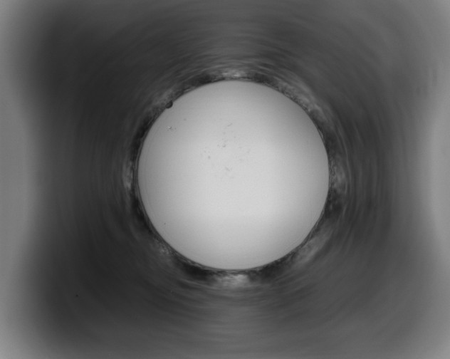 X0000099490374200805150933