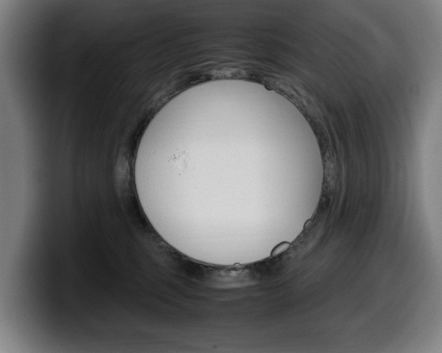 X0000099490375200805150933