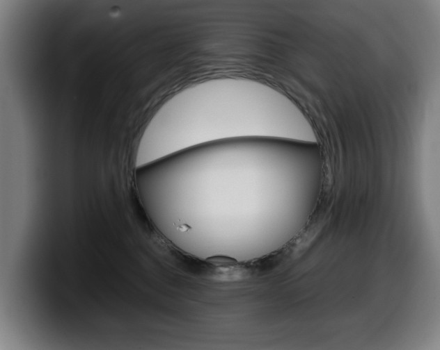 X0000099490376200805150933
