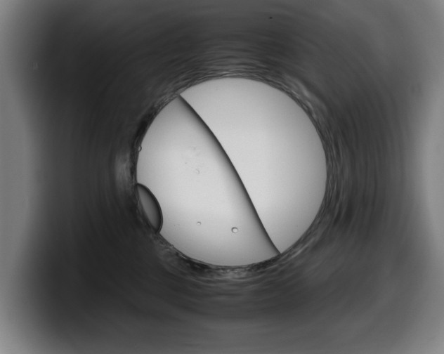 X0000099490377200805150933