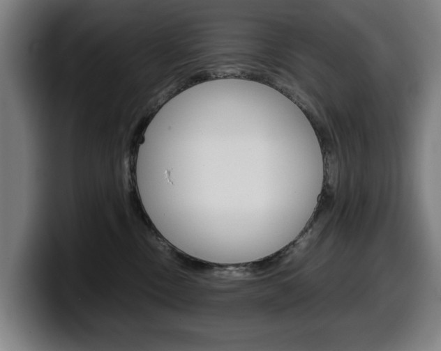 X0000099490378200805150933