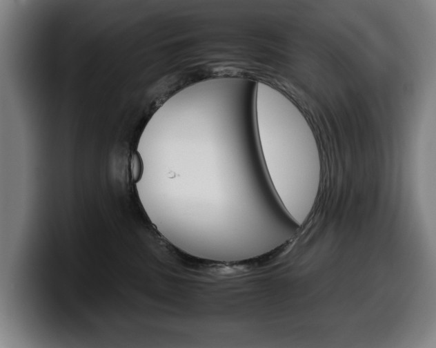 X0000099490379200805150933