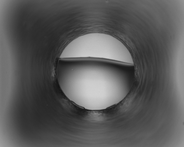 X0000099490380200805150933