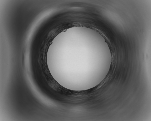X0000099490381200805150933