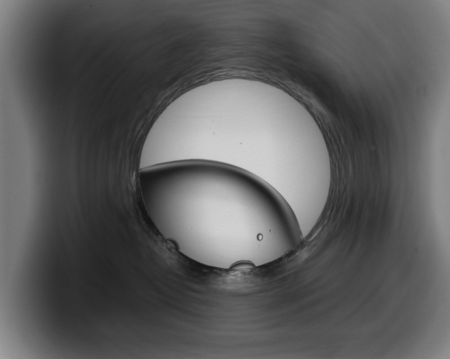 X0000099490382200805150933