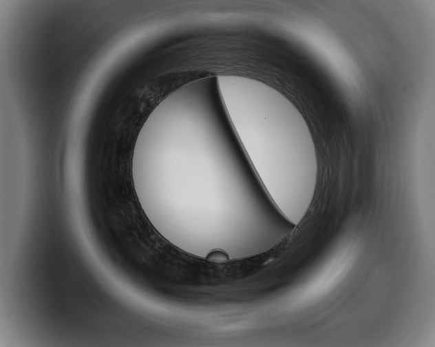X0000099490383200805150933