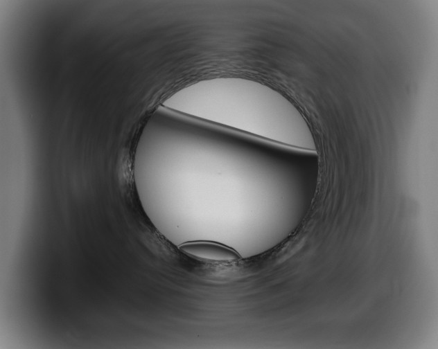 X0000099490384200805150933