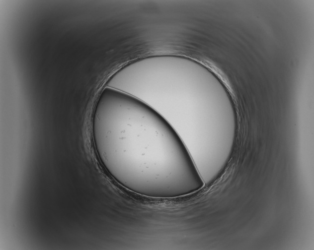 X0000099490385200805150932