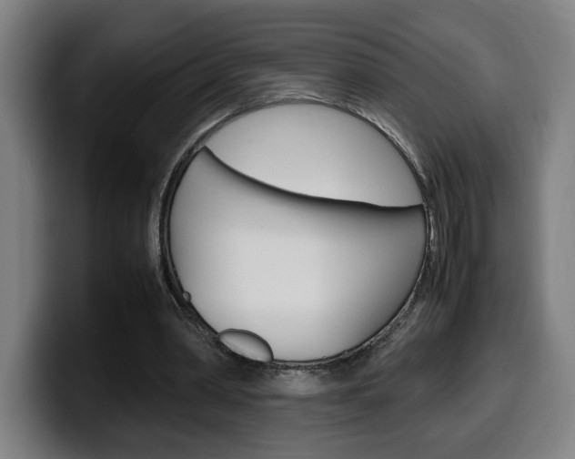 X0000099490390200805150932