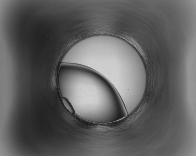 X0000099490393200805150932