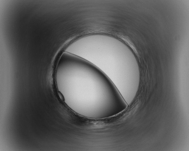 X0000099490395200805150932
