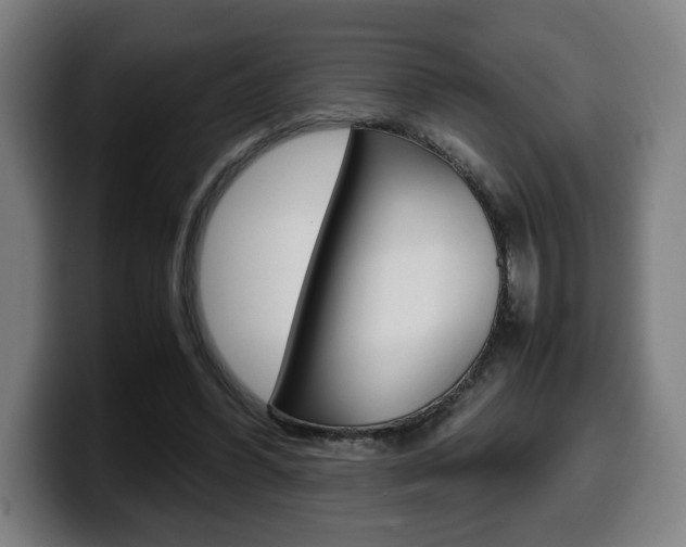 X0000099490396200805150932